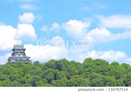Scenery of Inuyama Castle, a national treasure in Inuyama City, Aichi Prefecture Scenery of Inuyama Castle, a national treasure in Inuyama City, Aichi Prefecture 136707524