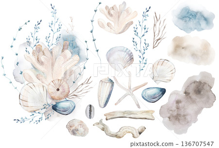 Pastel bouquet set with beige watercolor seashells, illustration for coastal beach wedding Pastel bouquet set with beige watercolor seashells, illustration for coastal beach wedding 136707547