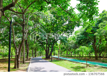 綠色公園風光 136707566