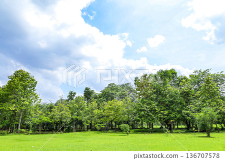 green park scenery green park scenery 136707578