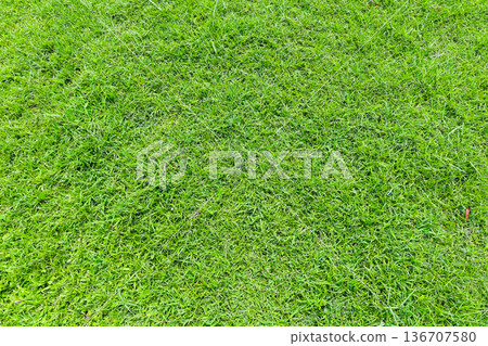 Lawn Lawn 136707580