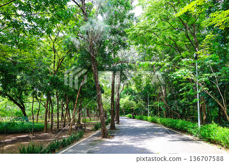 green park scenery 136707588