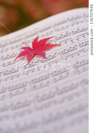 Autumn leaves and musical notes close-up image material 136707648