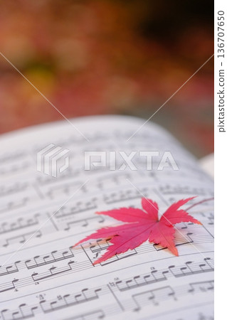 Autumn leaves and musical notes close-up image material 136707650