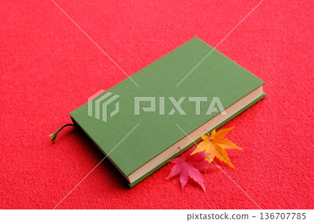 Image material of maple leaves and reading Image material of maple leaves and reading 136707785