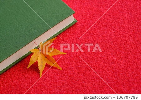 楓葉和閱讀的圖片素材 136707789