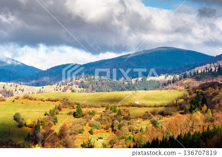 autumn landscape of rural region in carpathian mountains. rolling hills with green alps in dappled light. serene countryside on a sunny morning and cloudy sky. ukraine sustainable conservation concept autumn landscape of rural region in carpathian mountains. rolling hills with green alps in dappled light. serene countryside on a sunny morning and cloudy sky. ukraine sustainable conservation concept 136707819