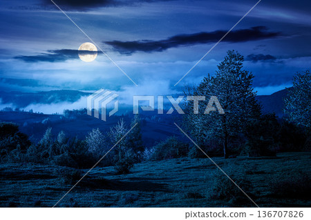 mountain landscape in fog at night. lush alpine meadows in spring in full moon light. beautiful view in to the valley. dark sky with clouds. backdrop for countryside fiction art or mystery concepts mountain landscape in fog at night. lush alpine meadows in spring in full moon light. beautiful view in to the valley. dark sky with clouds. backdrop for countryside fiction art or mystery concepts 136707826