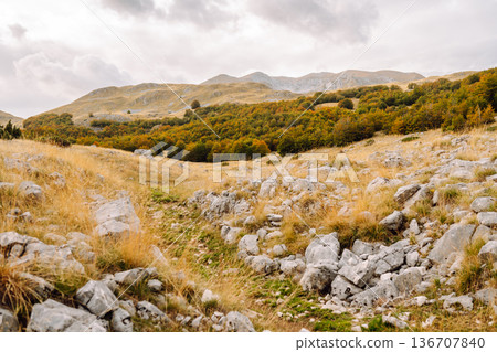 Scenic landscape of rocky terrain and autumn foliage in serene countryside setting during weather 136707840