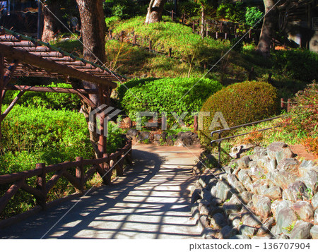 Scenery of Sudo Park (Sendagi, Bunkyo Ward, Tokyo) 136707904