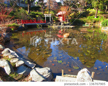 Scenery of Sudo Park (Sendagi, Bunkyo Ward, Tokyo) 136707905