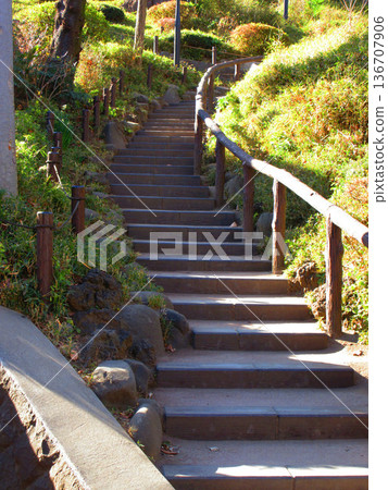 Scenery of Sudo Park (Sendagi, Bunkyo Ward, Tokyo) 136707906