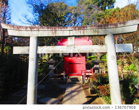 Scenery of Sudo Park (Sendagi, Bunkyo Ward, Tokyo) 136707908