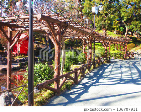 Scenery of Sudo Park (Sendagi, Bunkyo Ward, Tokyo) 136707911