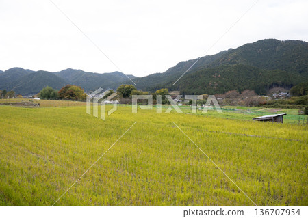 國家景觀 國家景觀 136707954