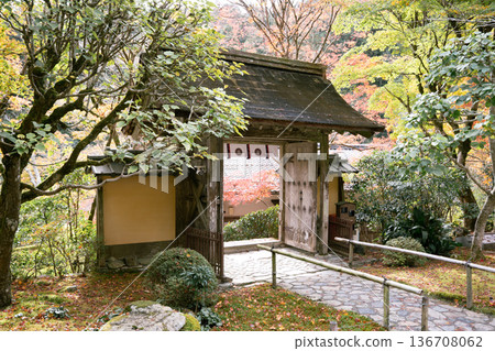京都大原祥子 京都大原祥子 136708062