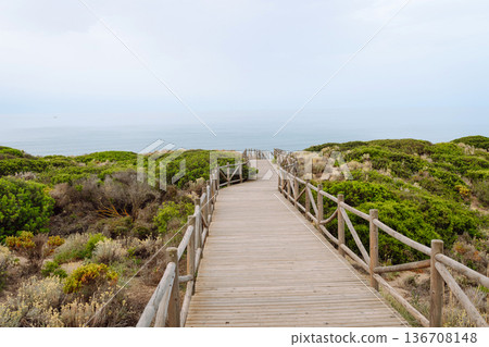 A wooden walkway winds through lush coastal vegetation, directing attention towards the calm sea 136708148