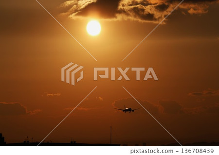 A plane landing with the setting sun behind it 136708439