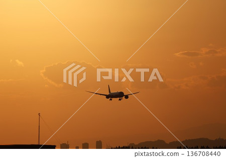一架飛機在落日餘暉中降落 136708440