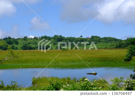 A tranquil highland landscape with marshes and water surfaces reflected beneath the blue sky A tranquil highland landscape with marshes and water surfaces reflected beneath the blue sky 136708497