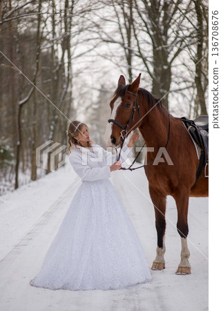 Bride Gently Holding Horse Reins In Winter 136708676