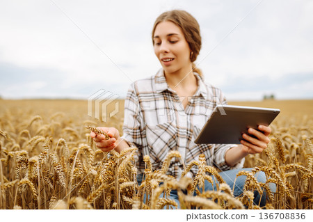 Woman farmer with digital tablet in agricultural field. Smart farm Woman farmer with digital tablet in agricultural field. Smart farm 136708836