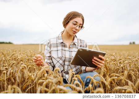 Woman farmer with digital tablet in agricultural field. Smart farm 136708837