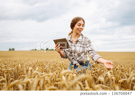 Woman farmer with digital tablet in agricultural field. Smart farm Woman farmer with digital tablet in agricultural field. Smart farm 136708847