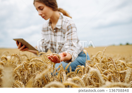 Woman farmer with digital tablet in agricultural field. Smart farm 136708848