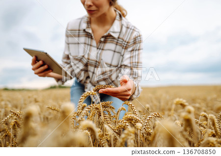 Woman farmer with digital tablet in agricultural field. Smart farm 136708850