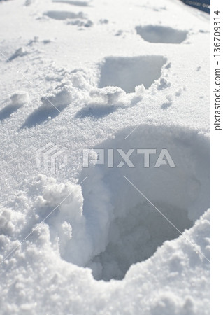 Footprints in the snow 136709314
