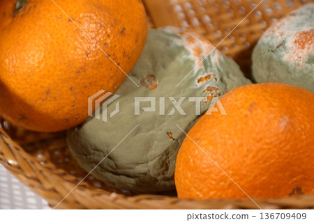 腐爛的橘子 136709409