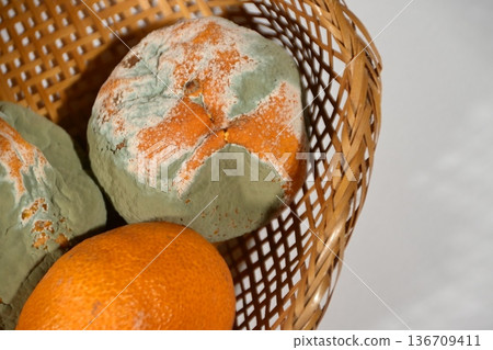 Rotten mandarin orange Rotten mandarin orange 136709411