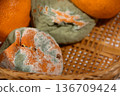 Rotten mandarin orange 136709424