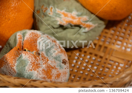 Rotten mandarin orange 136709424