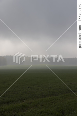 autumn sky covered with thick clouds and thick fog that slowly dissipates from sunlight, dreary gray sky and thick fog that obscures the view autumn sky covered with thick clouds and thick fog that slowly dissipates from sunlight, dreary gray sky and thick fog that obscures the view 136709579