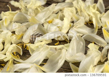 ugly flowers and petals are scattered on an old black wooden table, flower details from a gift bouquet that have wilted and crumbled from long-term storage 136709591