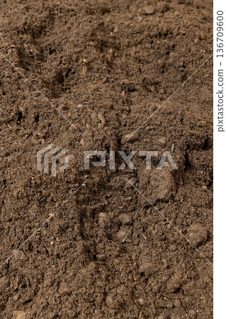 fertile soil with various ingredients for growing seedlings and indoor plants, minerals and vitamins, humus and peat are added to the soil to improve growth and yield 136709600
