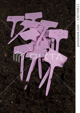 plaques to indicate the type of plants and the variety of plants lies on the black fertile land in the field in the spring , plastic plaques for the systematization of plants and seedlings 136709611