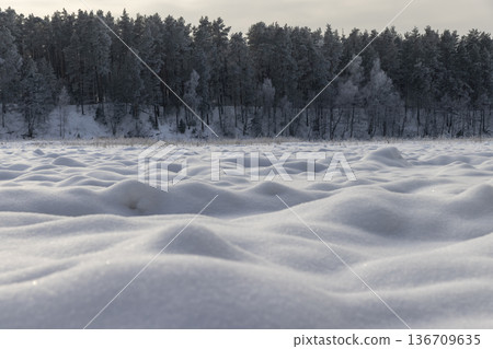 landscape on a river covered with ice and snow after snowfalls, a snow-covered forest in the background, a frozen river in eastern Europe covered with snow 136709635