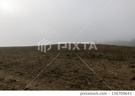 an agricultural field plowed for spring sowing, cloudy weather in the autumn season, fog in autumn on the field an agricultural field plowed for spring sowing, cloudy weather in the autumn season, fog in autumn on the field 136709641