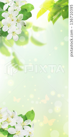 Spring greenery with warm light rays creating tranquil scene. Spring greenery with warm light rays creating tranquil scene. 136710395