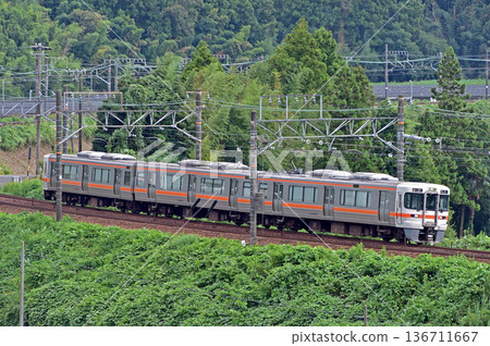 Tokaido Main Line Kikugawa-Kanaya JR Central 313 series T17 train (Shizuoka) Tokaido Main Line Kikugawa-Kanaya JR Central 313 series T17 train (Shizuoka) 136711667