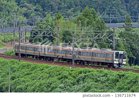 Tokaido Main Line, Kikugawa-Kanaya, JR Central, 211 series, LL3 formation (Shizuoka) 136711674