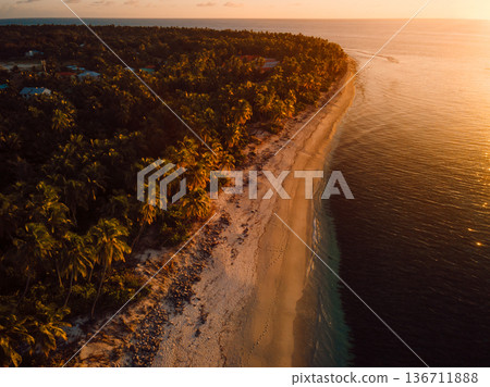 Drone view of Maldives coastal landscape with palms trees and sunset or sunrise sunlight. 136711888