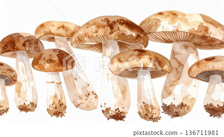 蘑菇插圖素材 136711981