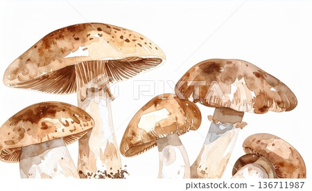 蘑菇插圖素材 136711987