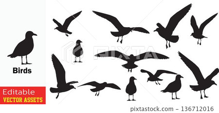 Collection of birds in flight and standing silhouettes isolated on transparent background 136712016