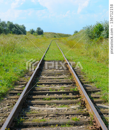 Old abandoned railway tracks disappearing into the distance among green fields Old abandoned railway tracks disappearing into the distance among green fields 136712158