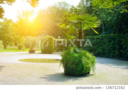 Peaceful public park with green hedges and sunlight at dawn 136712162